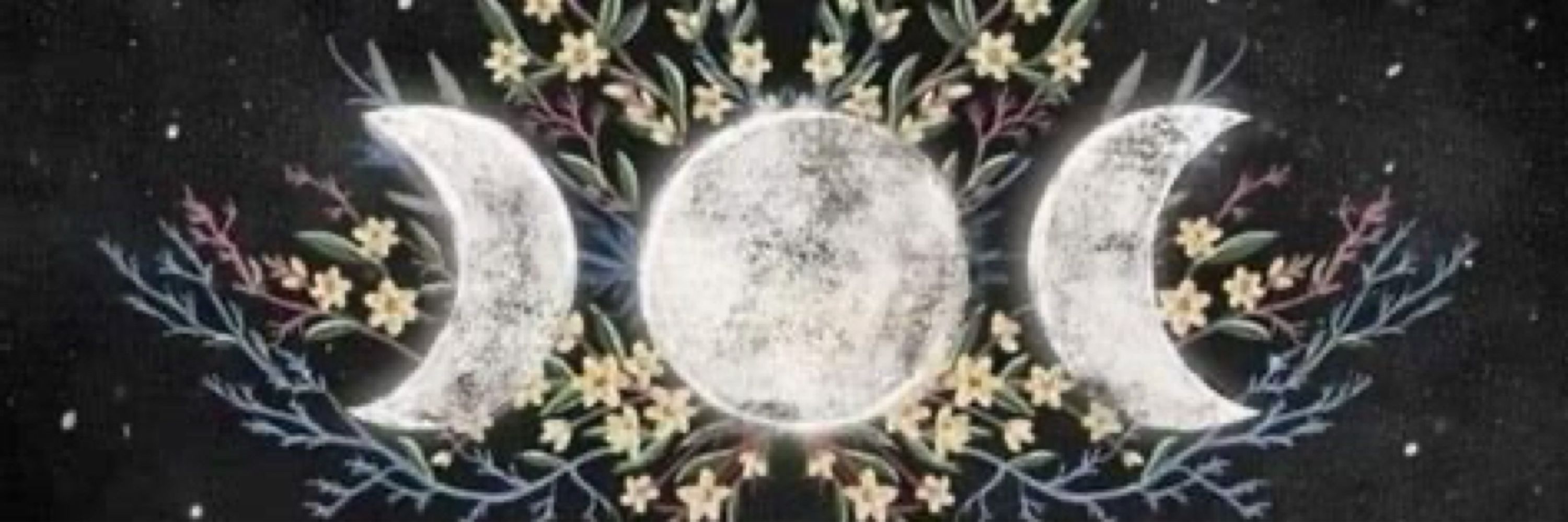 Moonbeam