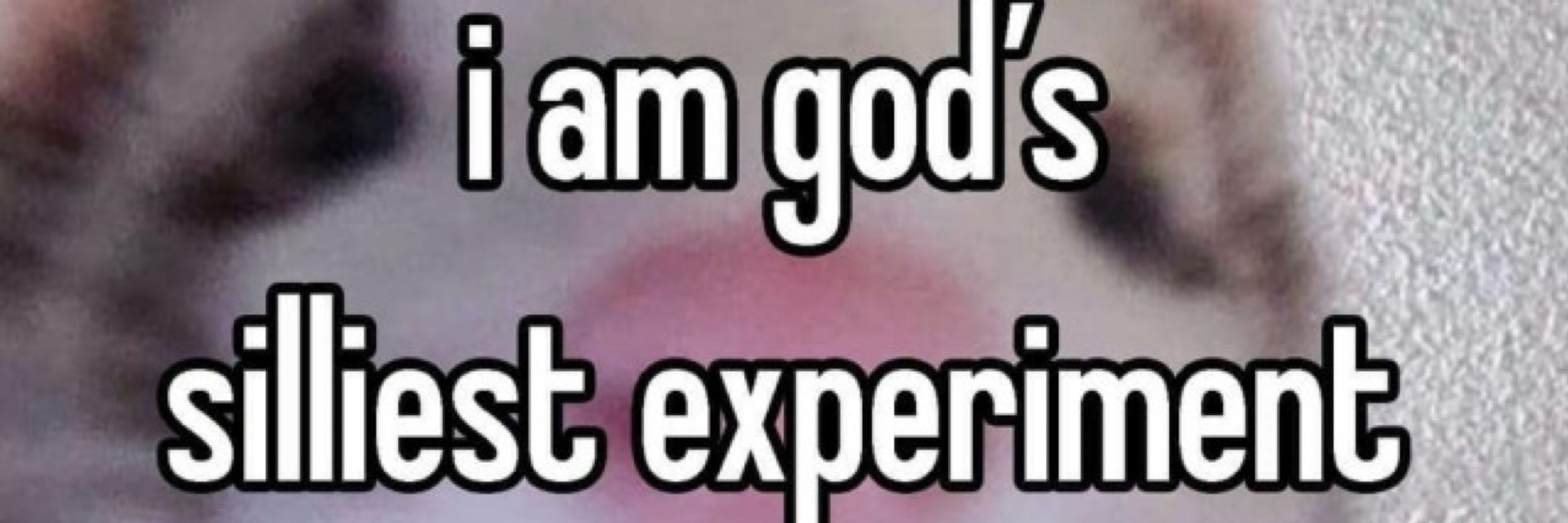 Smallmeat/404