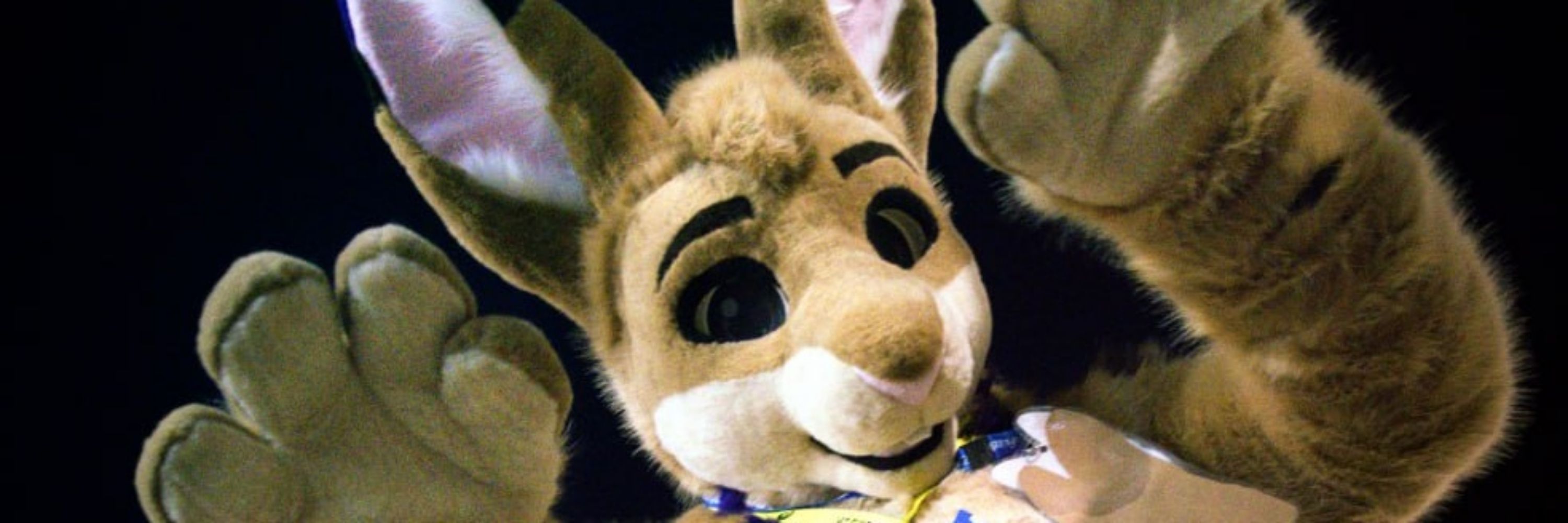 Bunzel