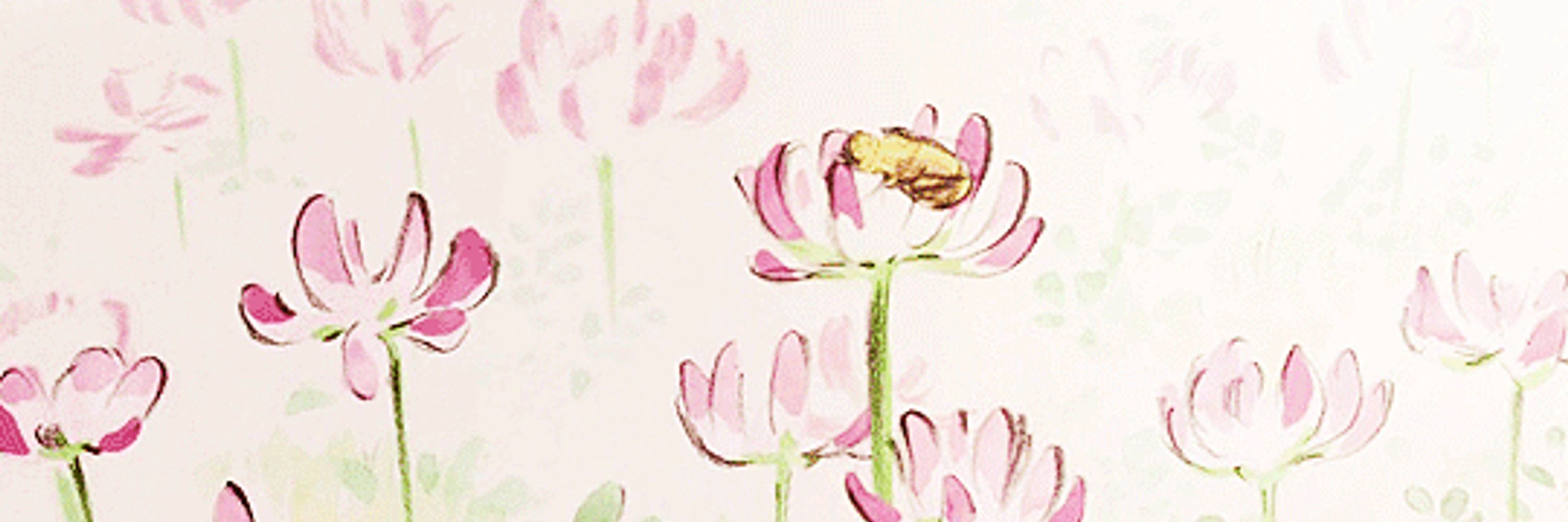 Bee ⸆⸉
