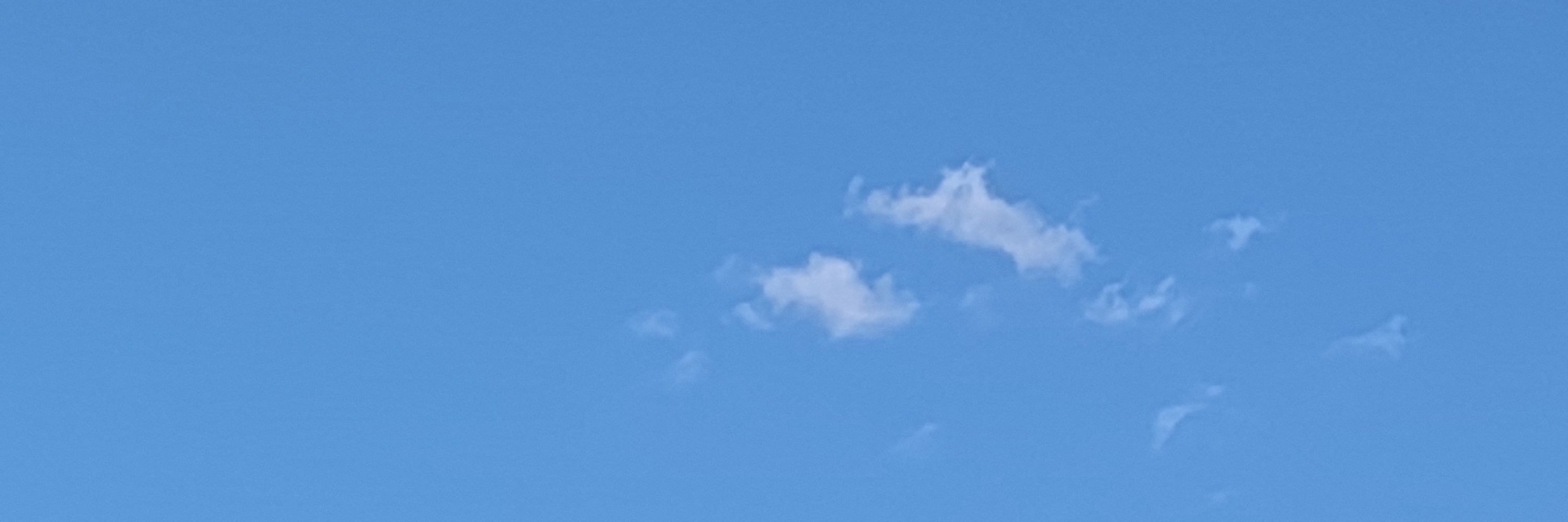 おはな