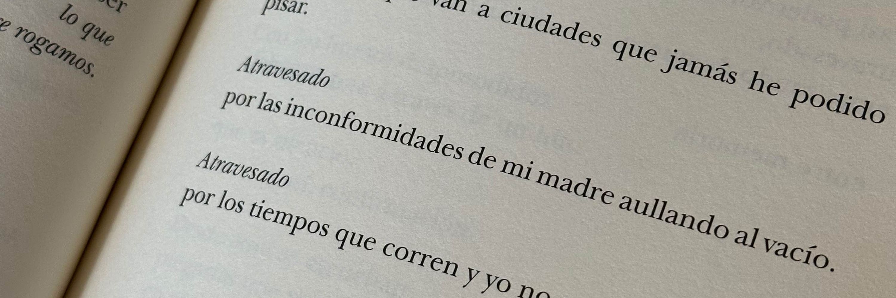 Joey Rego 