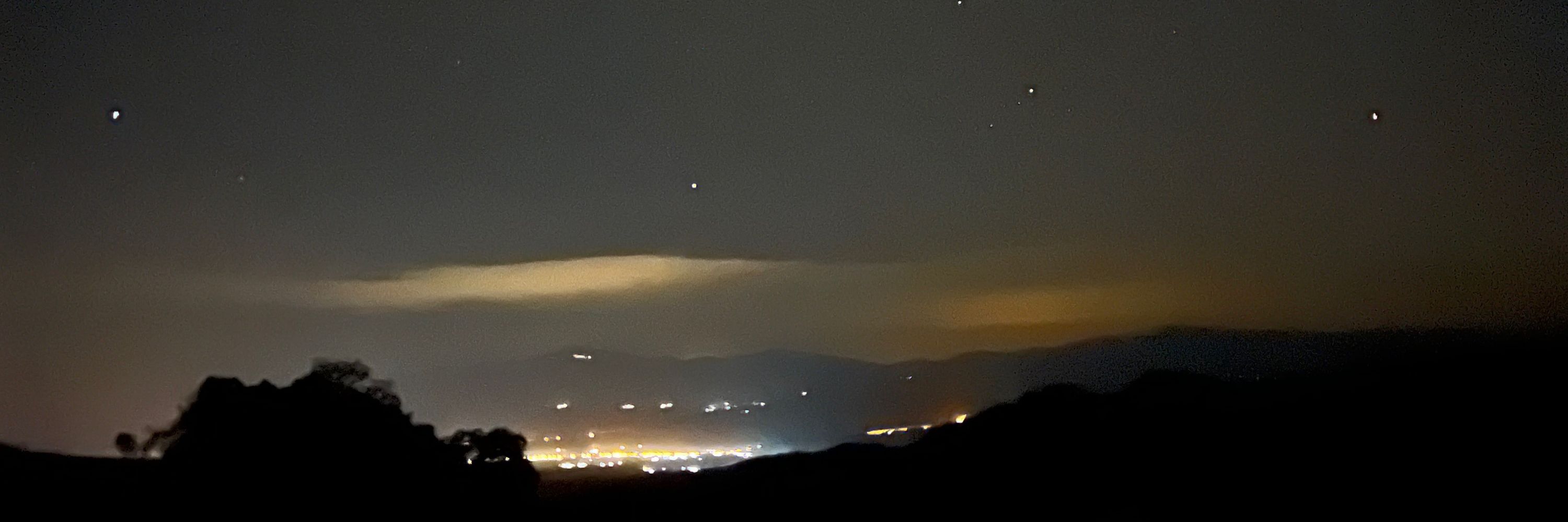 ・ᴥ・