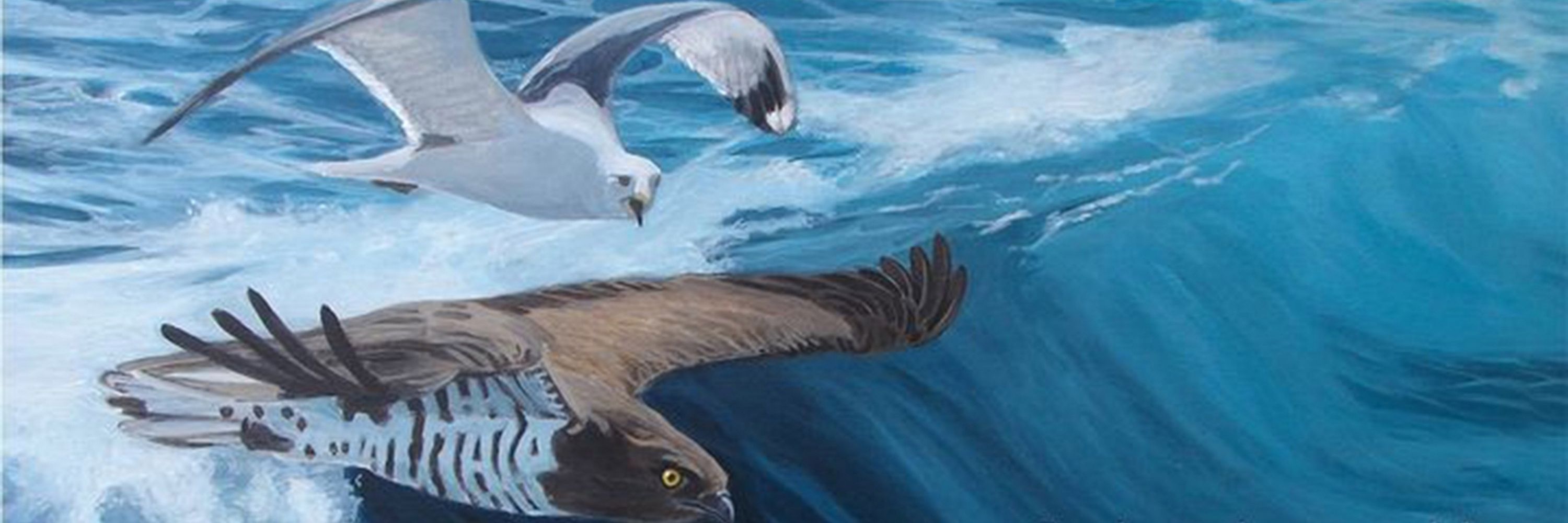 Espintapajaros Wildlife Art