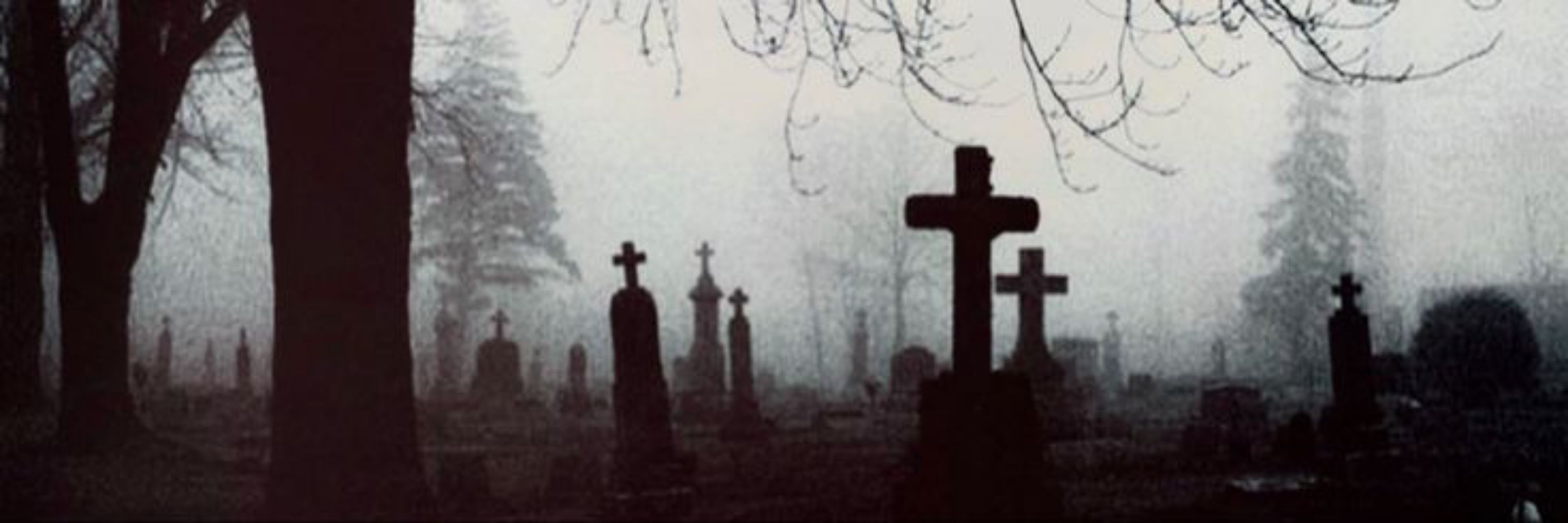‧₊˚🕸𝖇𝖆𝖙𝖌𝖎𝖗𝖑🦇