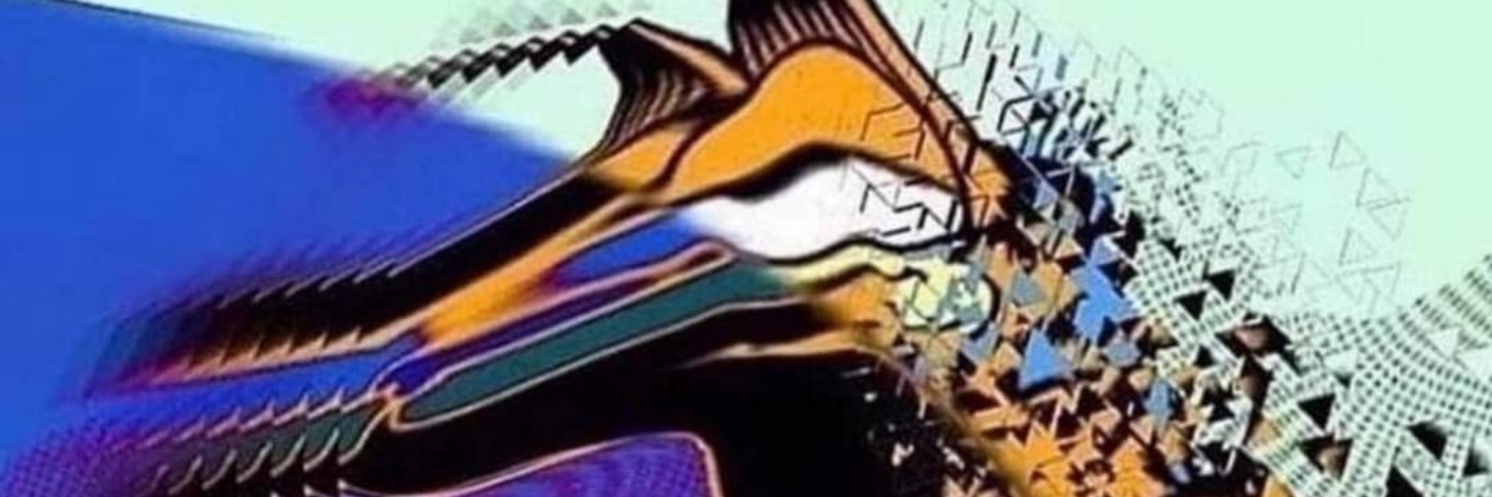 𝐛𝐮𝐛𝐛𝐢𝐞𓃹 🔞