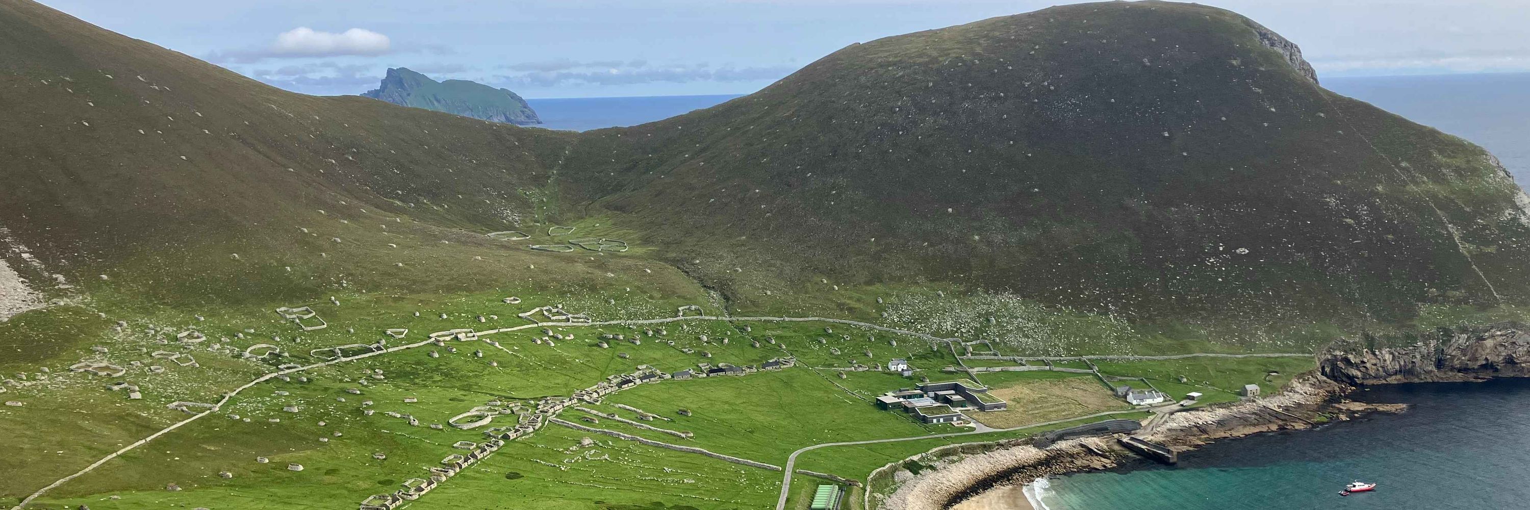 Soay Sheep Project