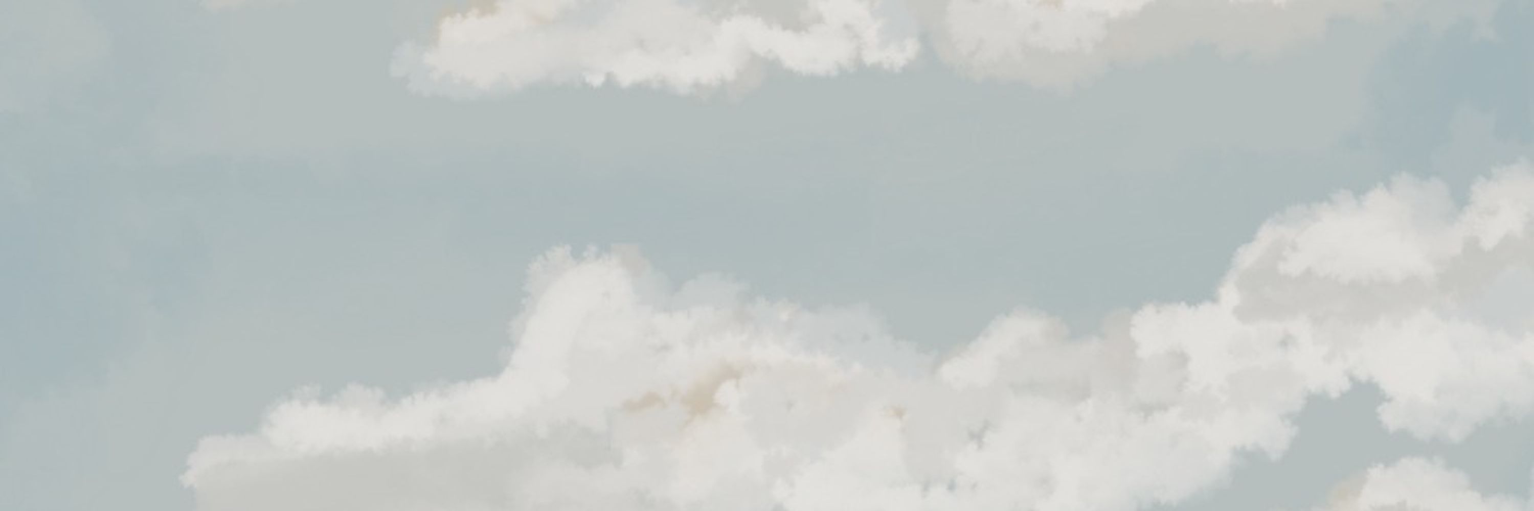Cloudy Waffles