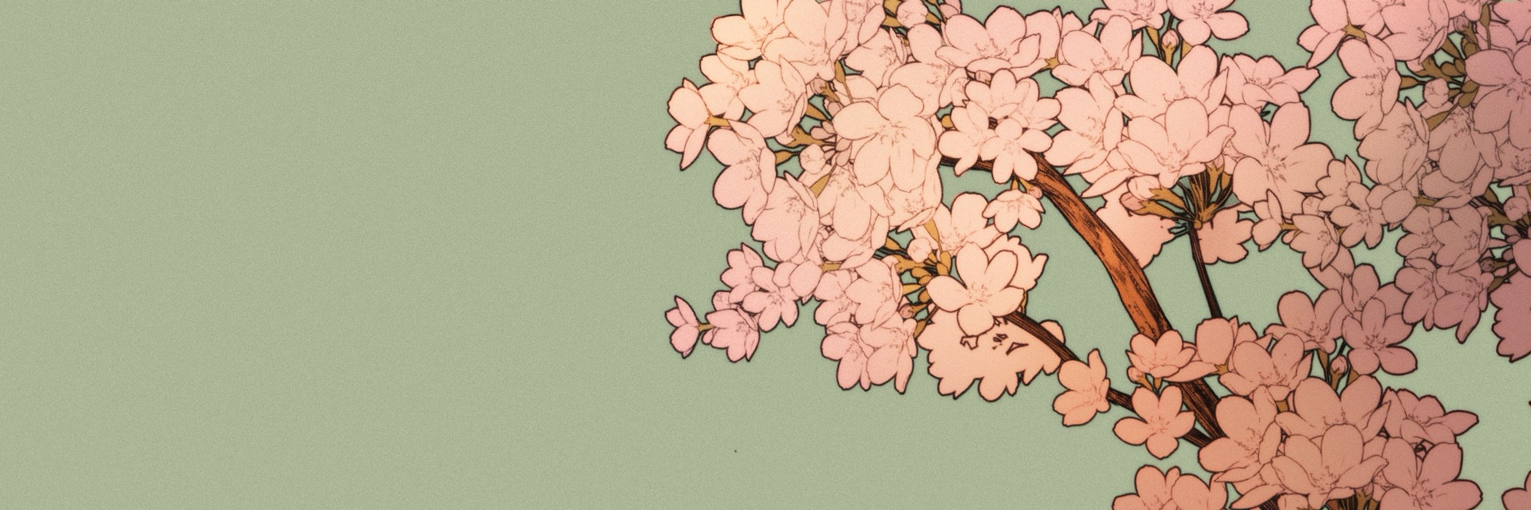 callmecee 🌸 writing