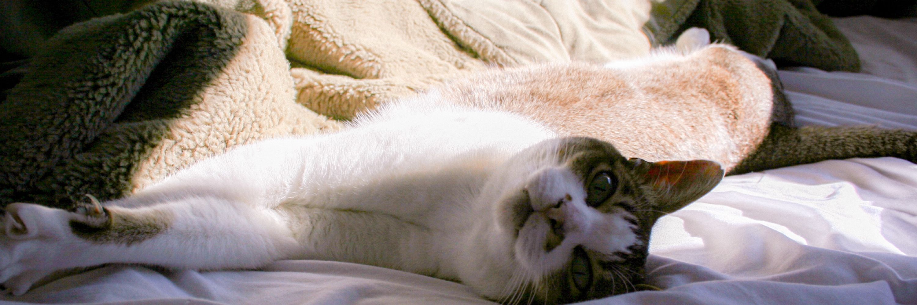Lily!