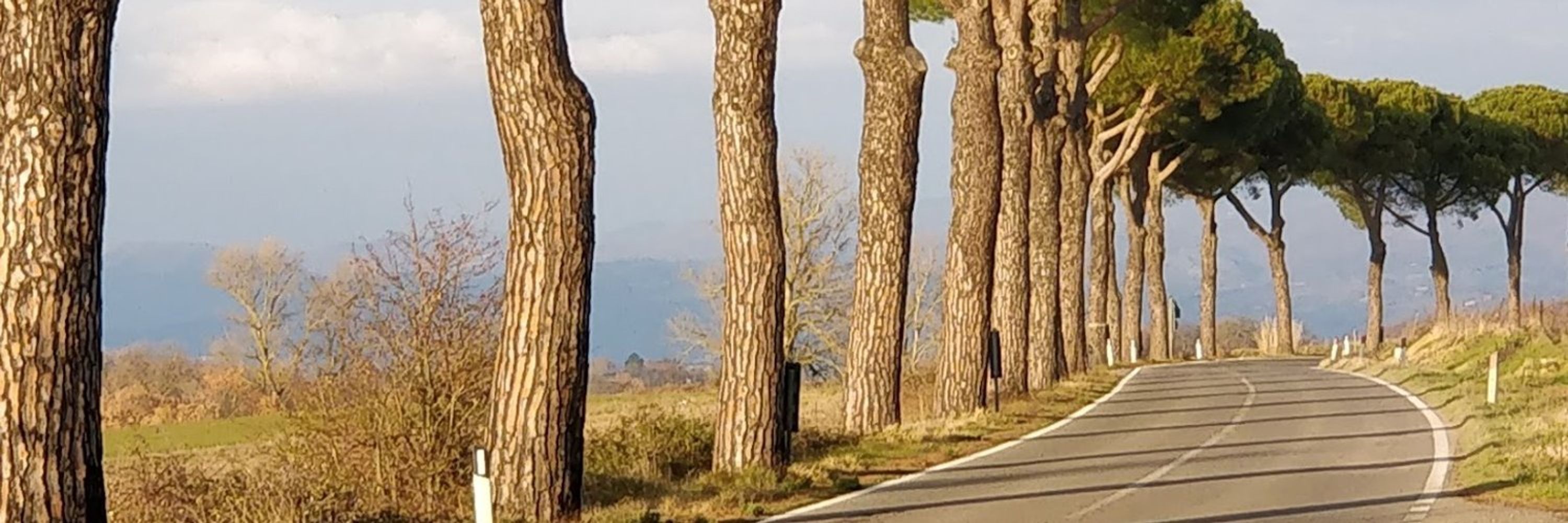 quello che perde i pezzi
