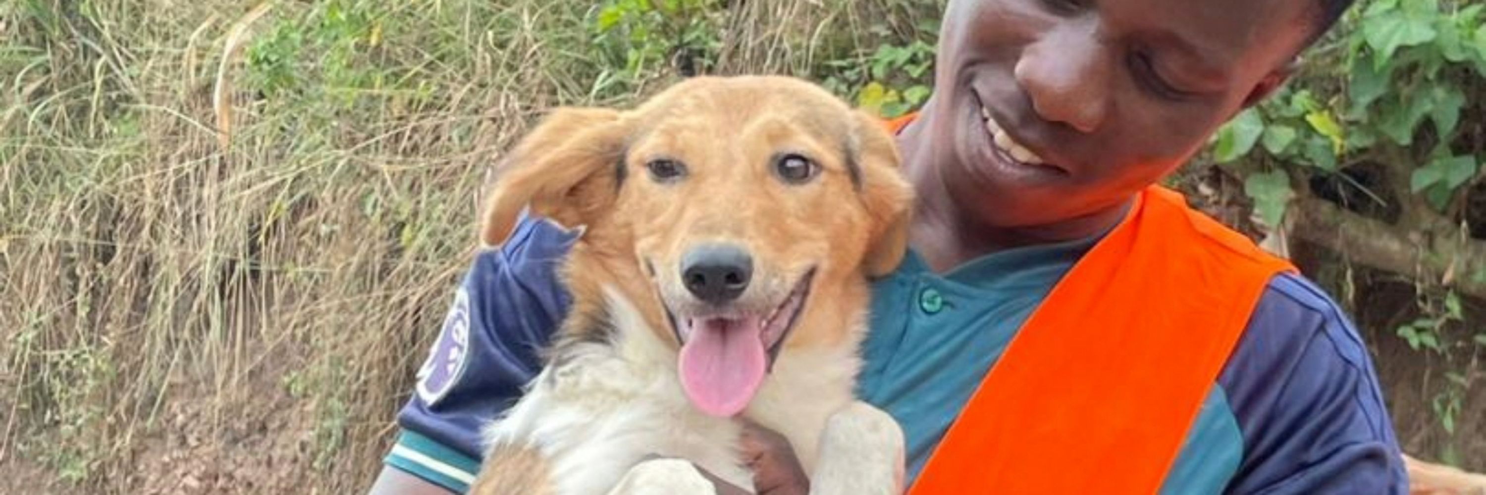 Shafic home of pet rescue ❤ ♥