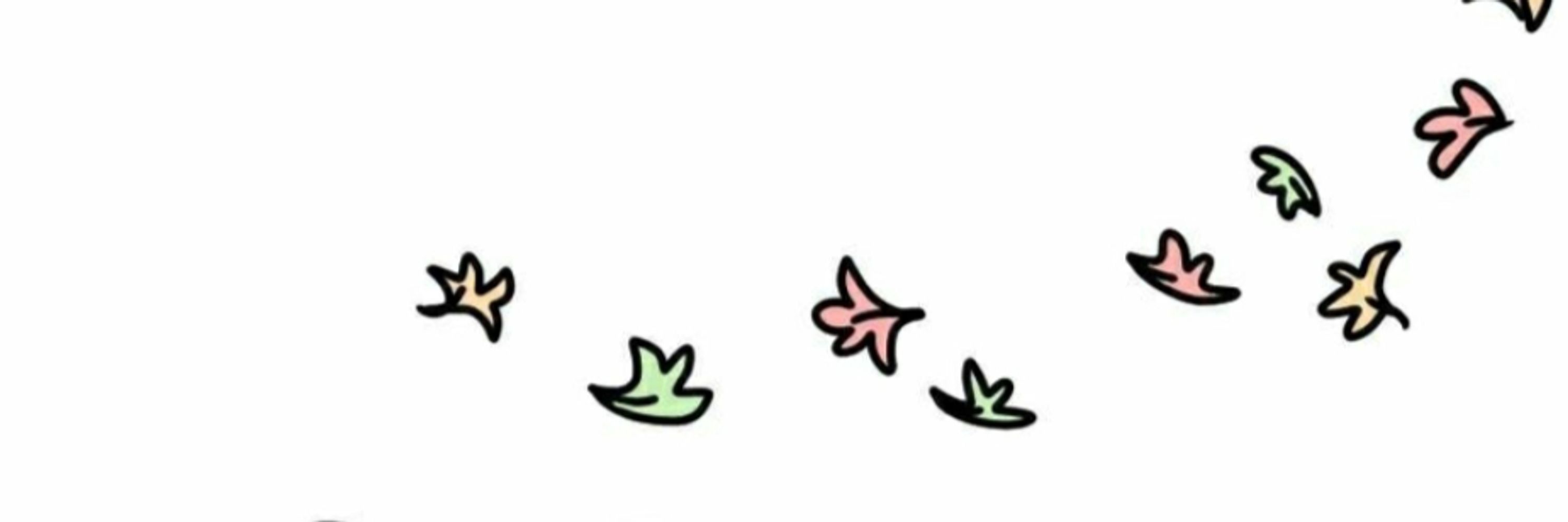 Cactus Snail🌵🐌