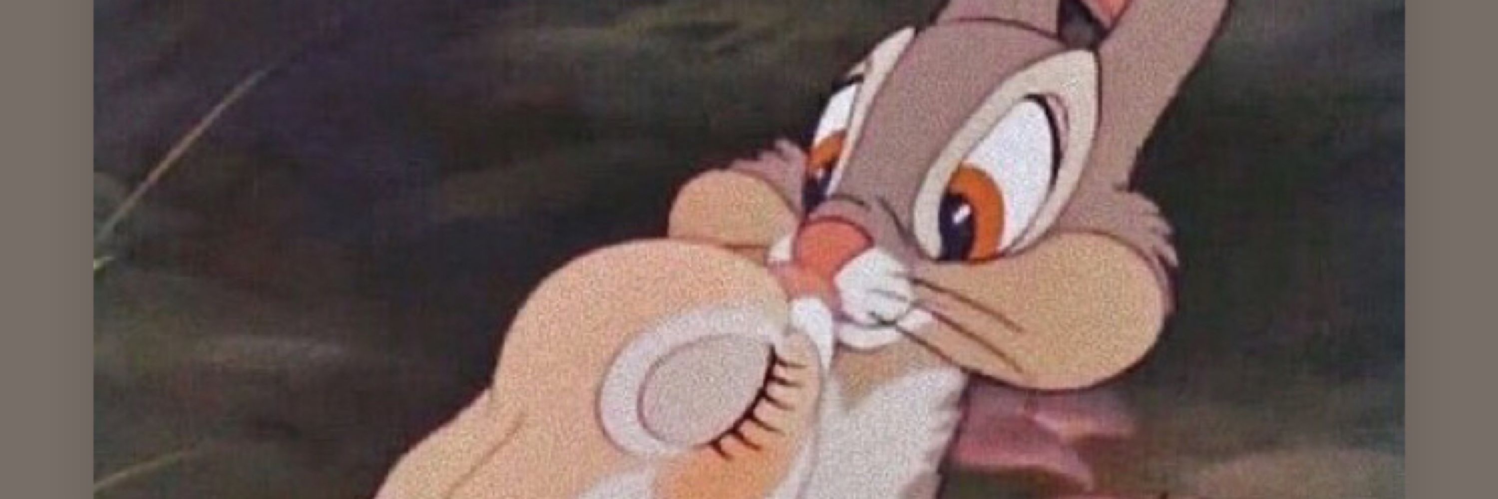 dona vl🧸