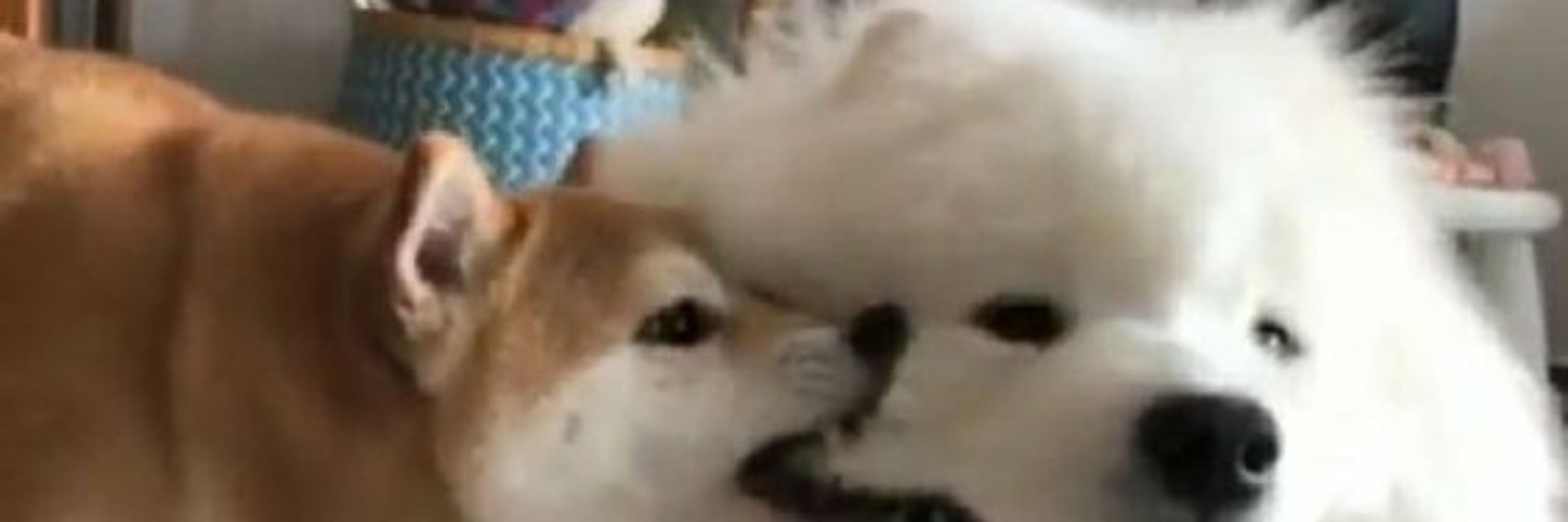 무말랭이