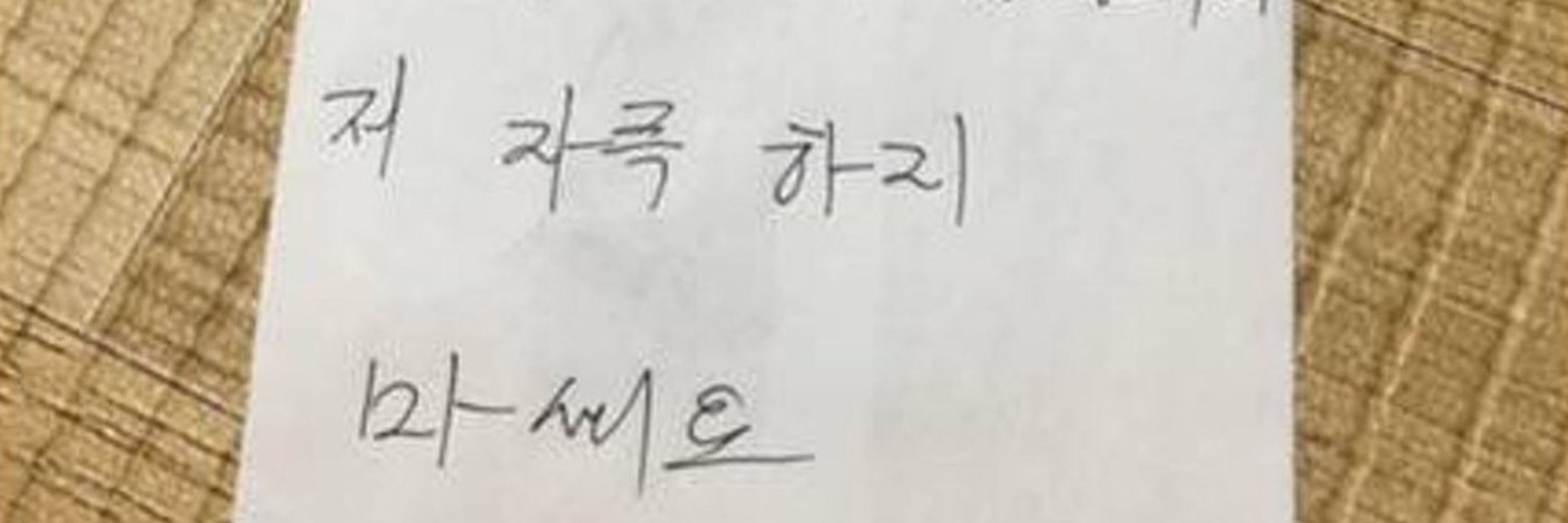 산 속에 사는 대머리