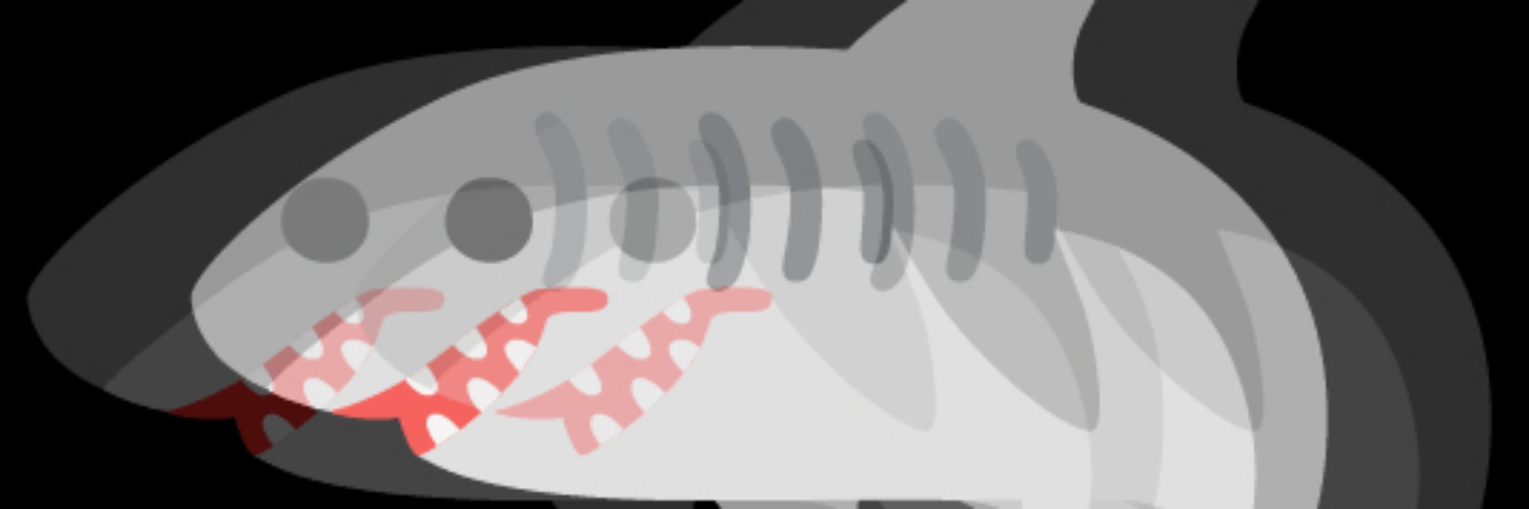 shark sounds