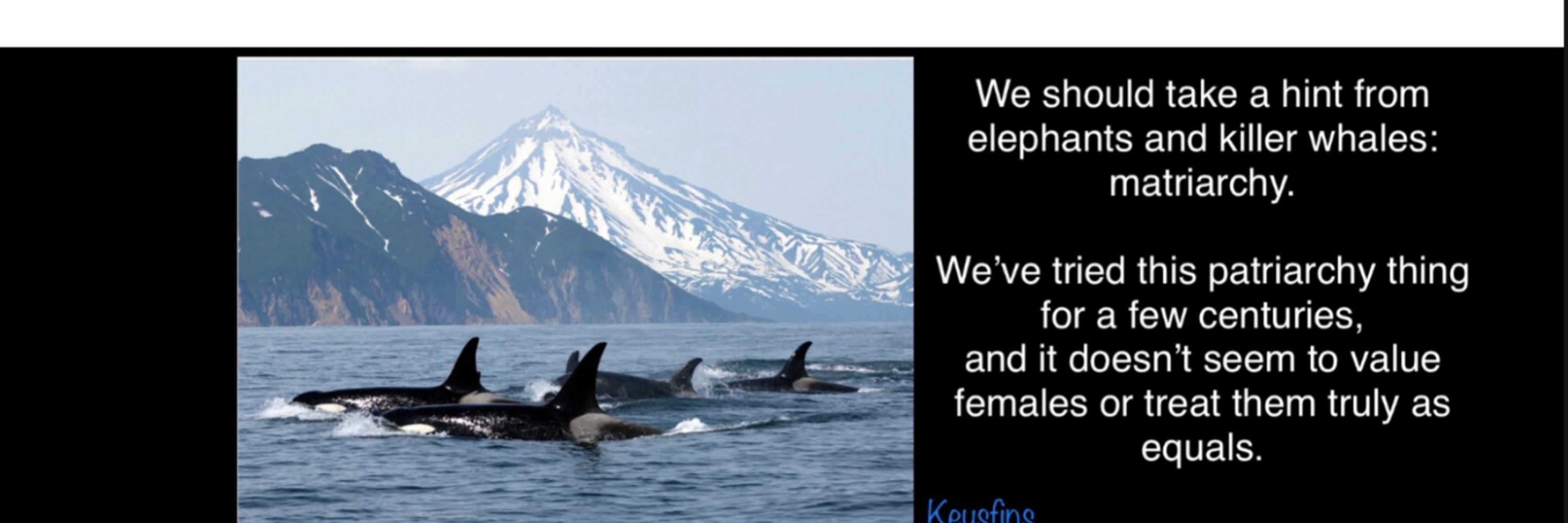 Keysfins