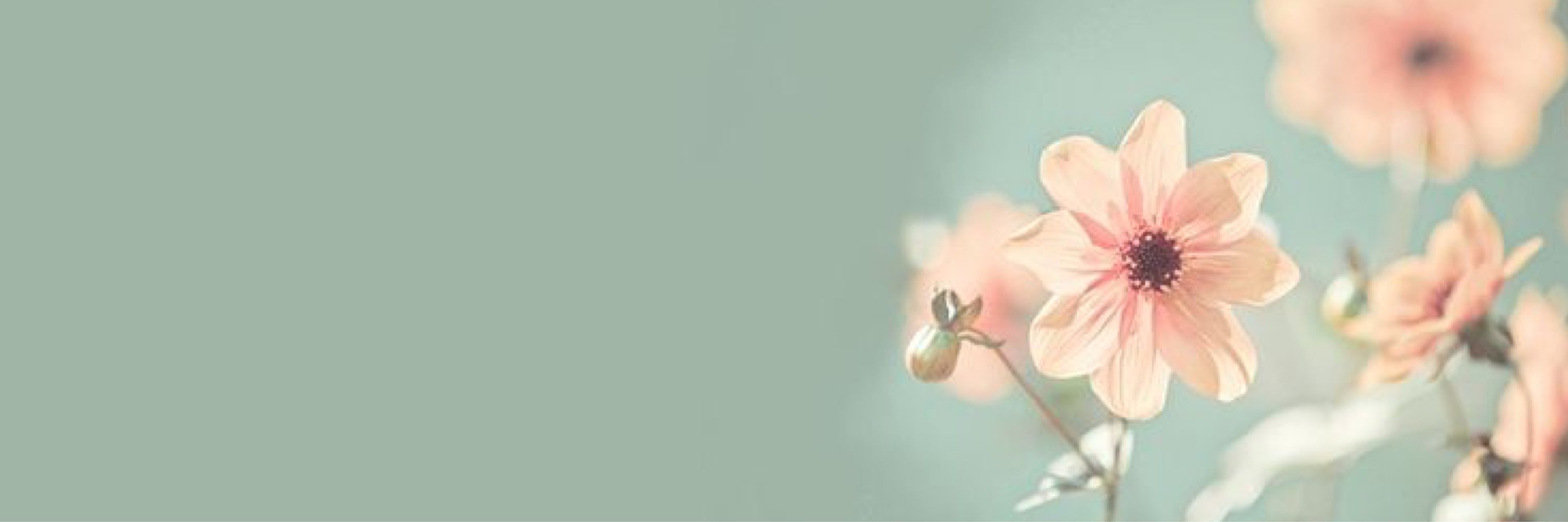 Infinite Dreams