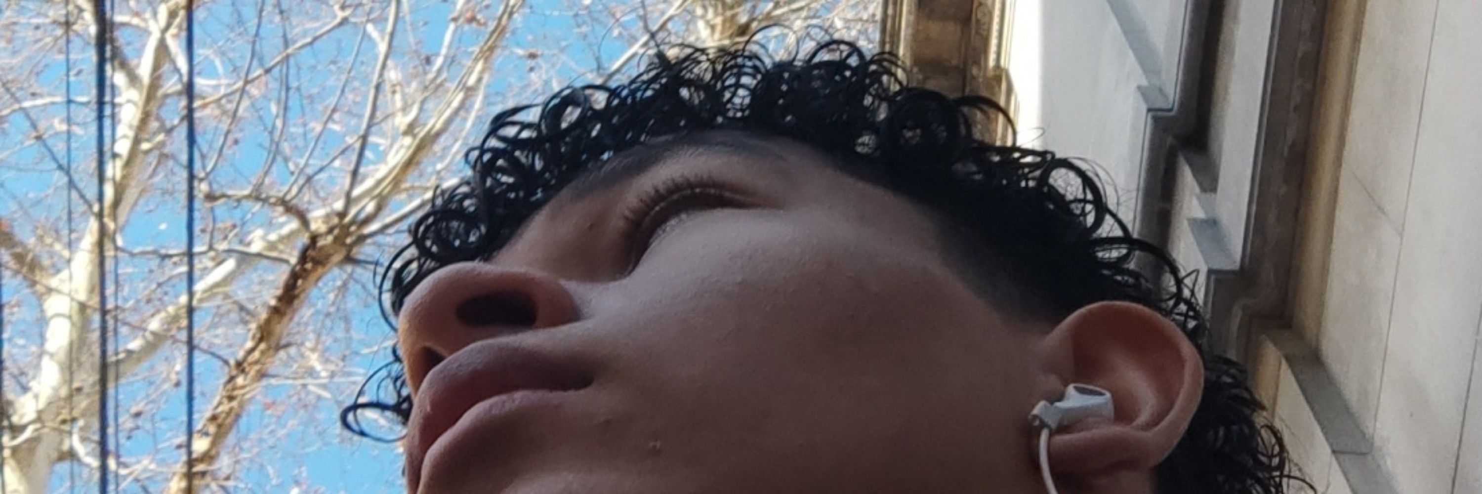 Peet 