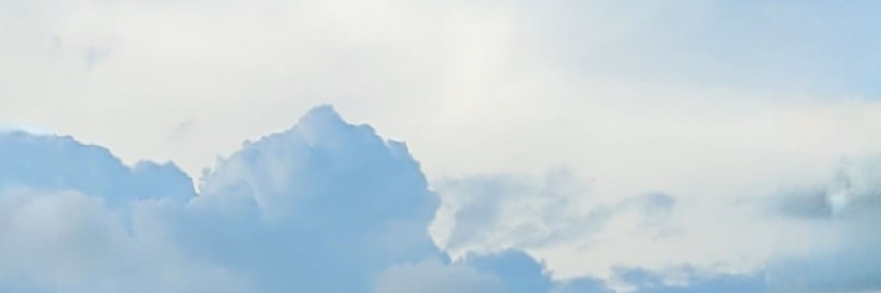 𝑾𝒊𝒏𝒕𝒆𝒍