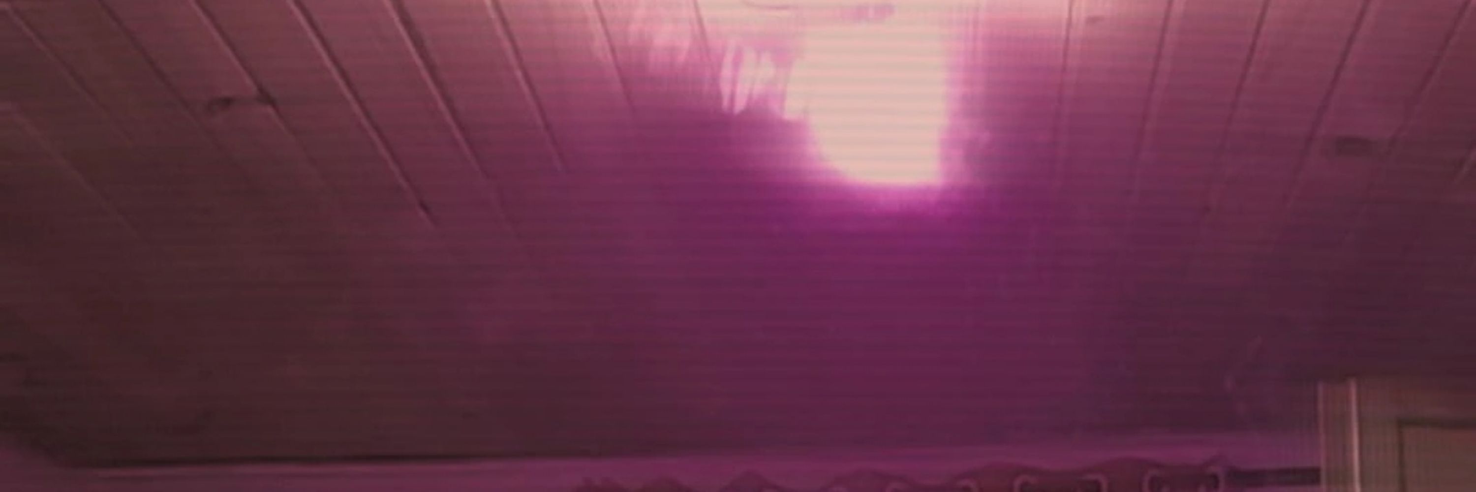 Lettie | RIR 22/09