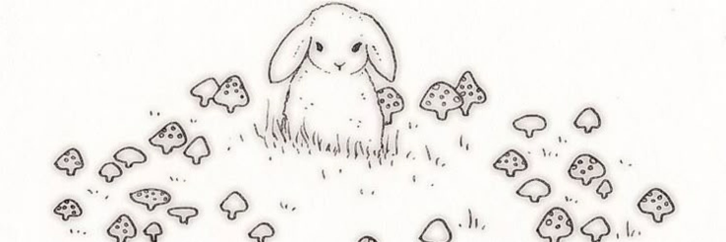 .🐇˚ ₊ ʙᴜɴɴʏ ୨ ˚₊ ꒰