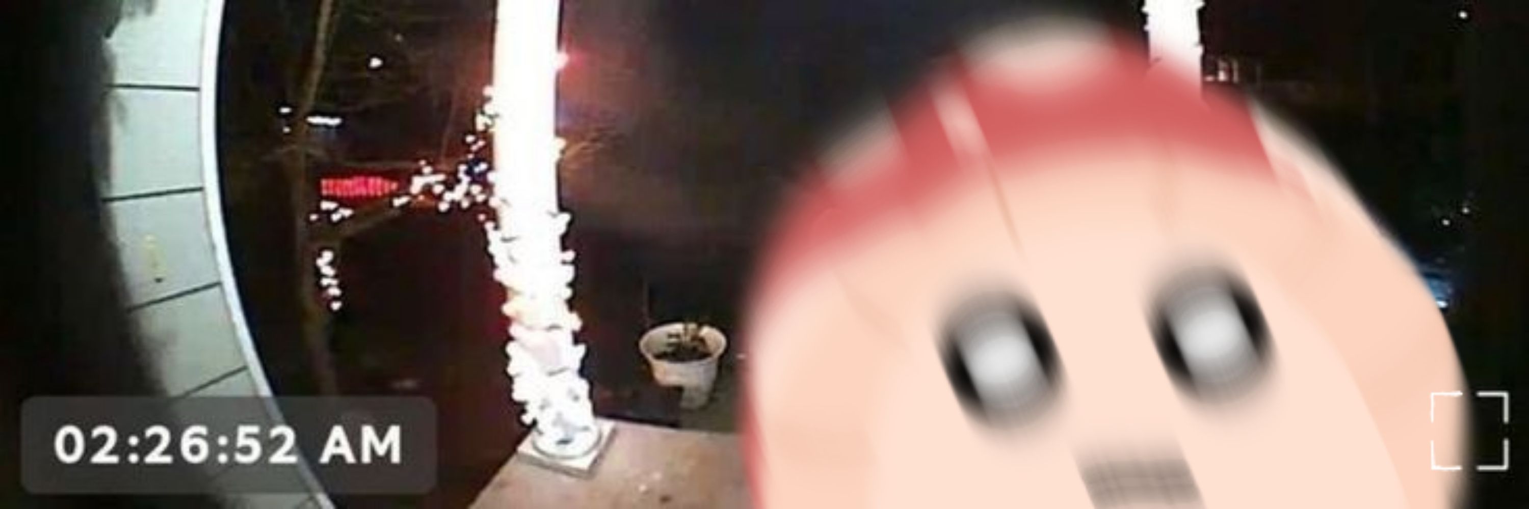 Eri 🍄