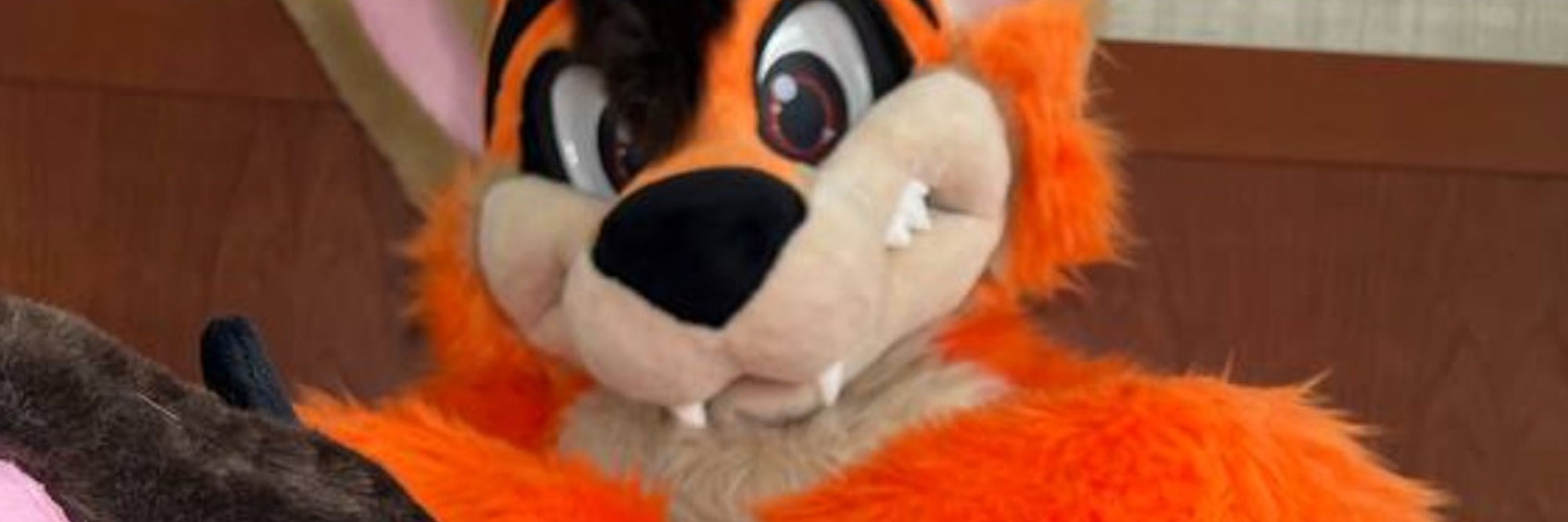 Scruffy the Fox