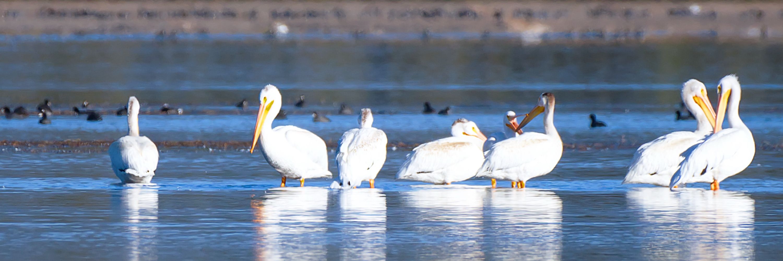 DK Barker Photographic Art