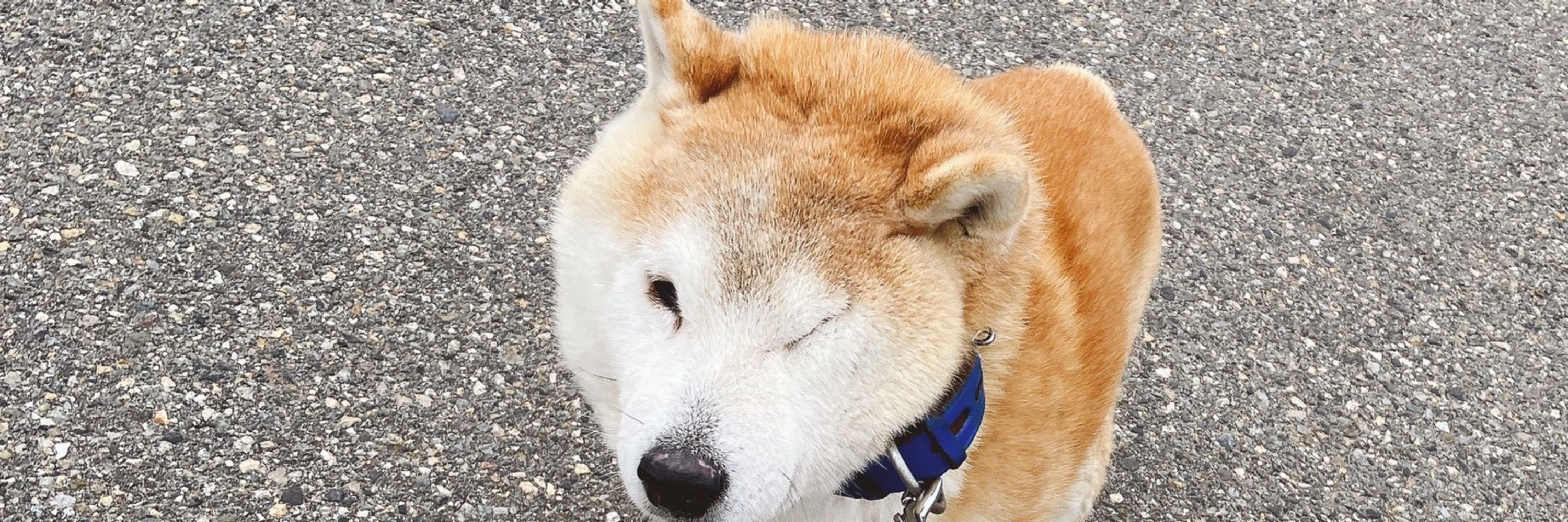 ものつく人