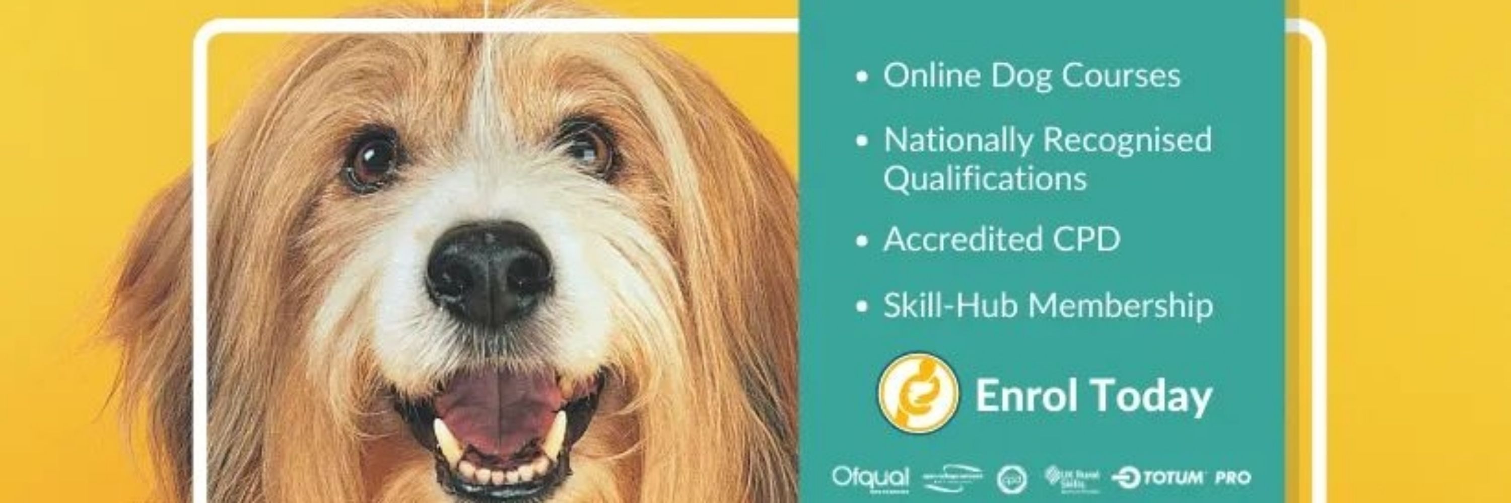 Canine Principles #dogskillsforhumans