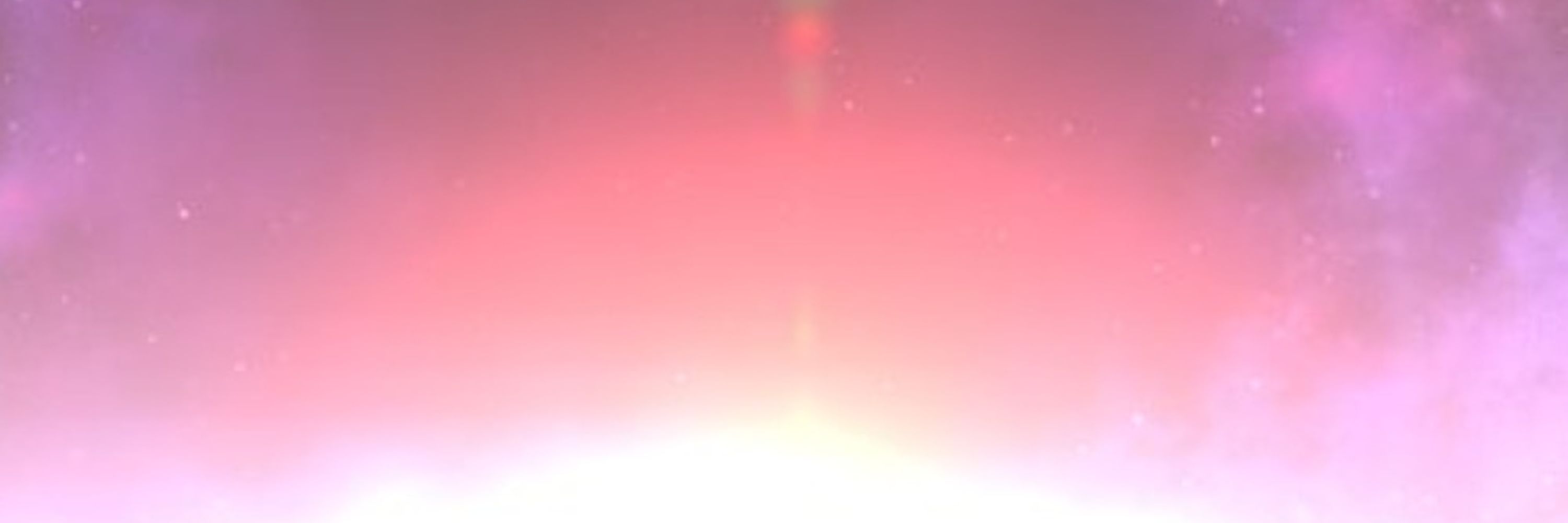 ysr ✧