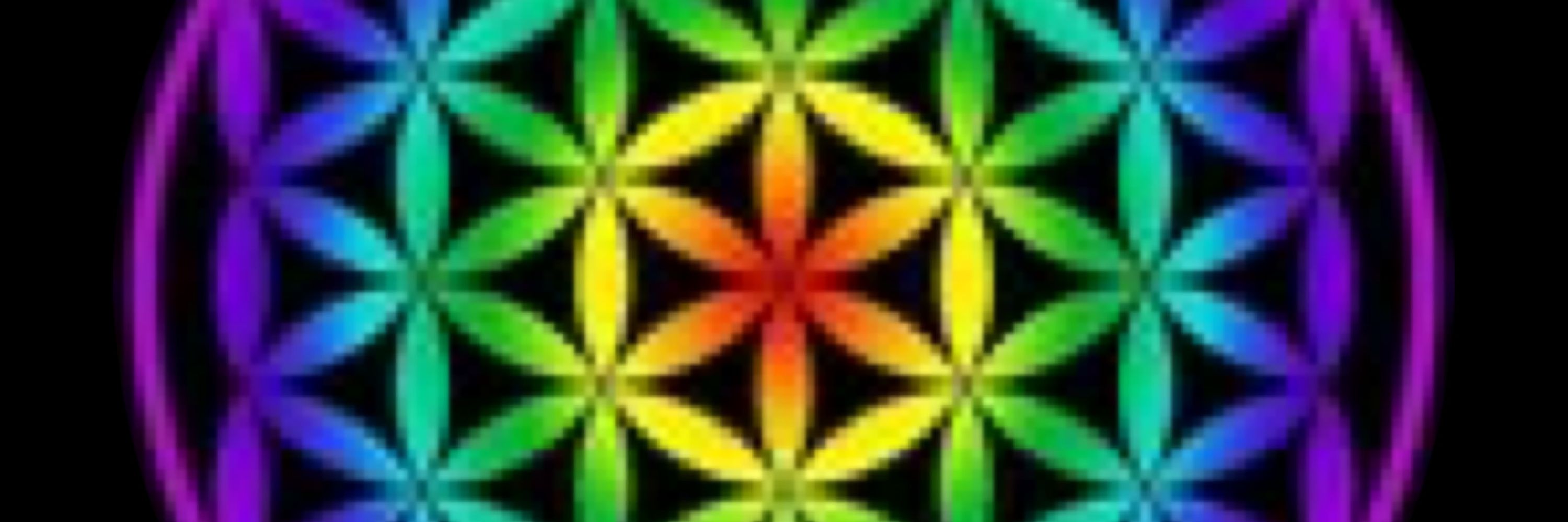 CMS