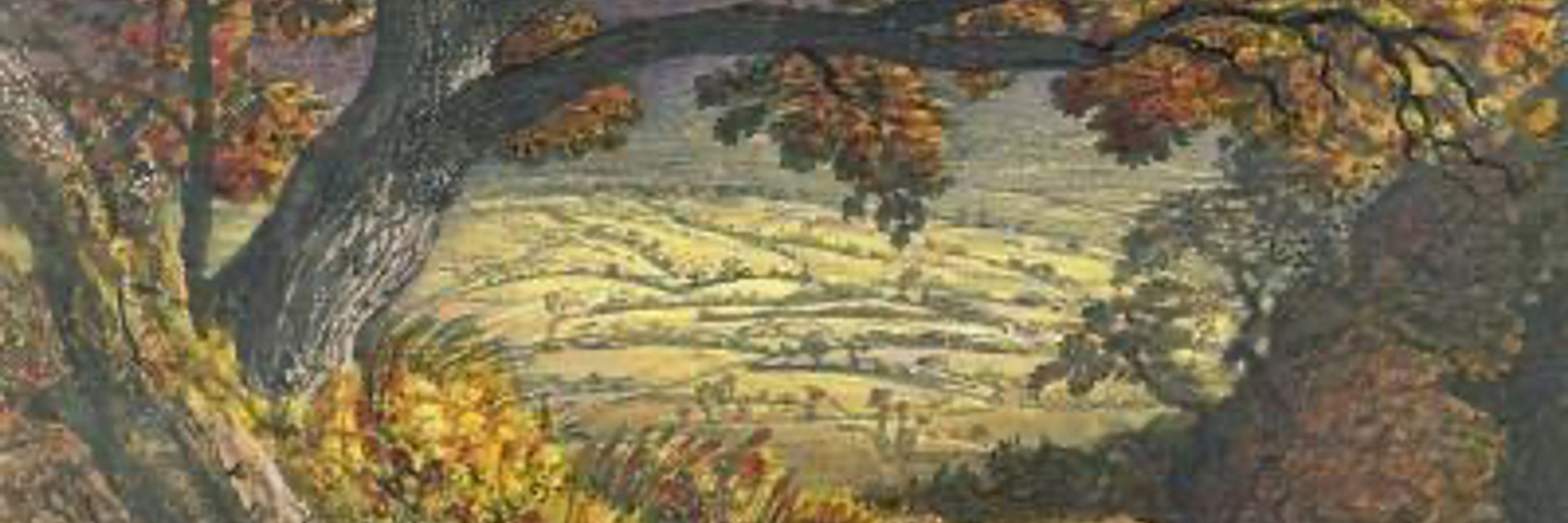 The English Oak Project
