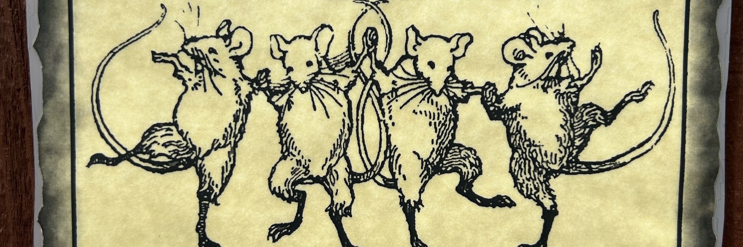 lizzi shinkicker 🐀