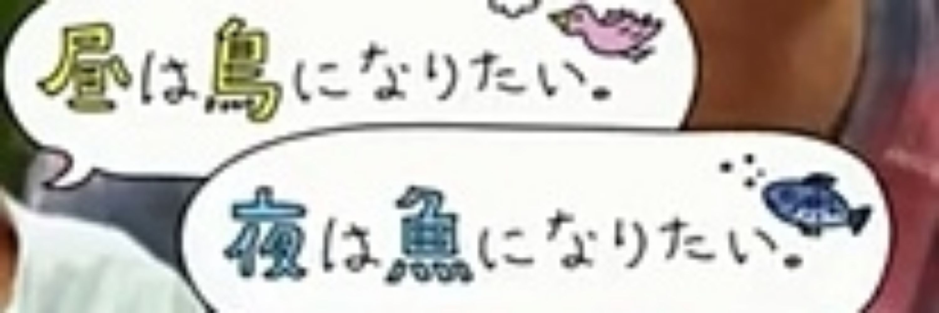 𝑺𝑼𝑷𝑬𝑹ぐらこちゃん