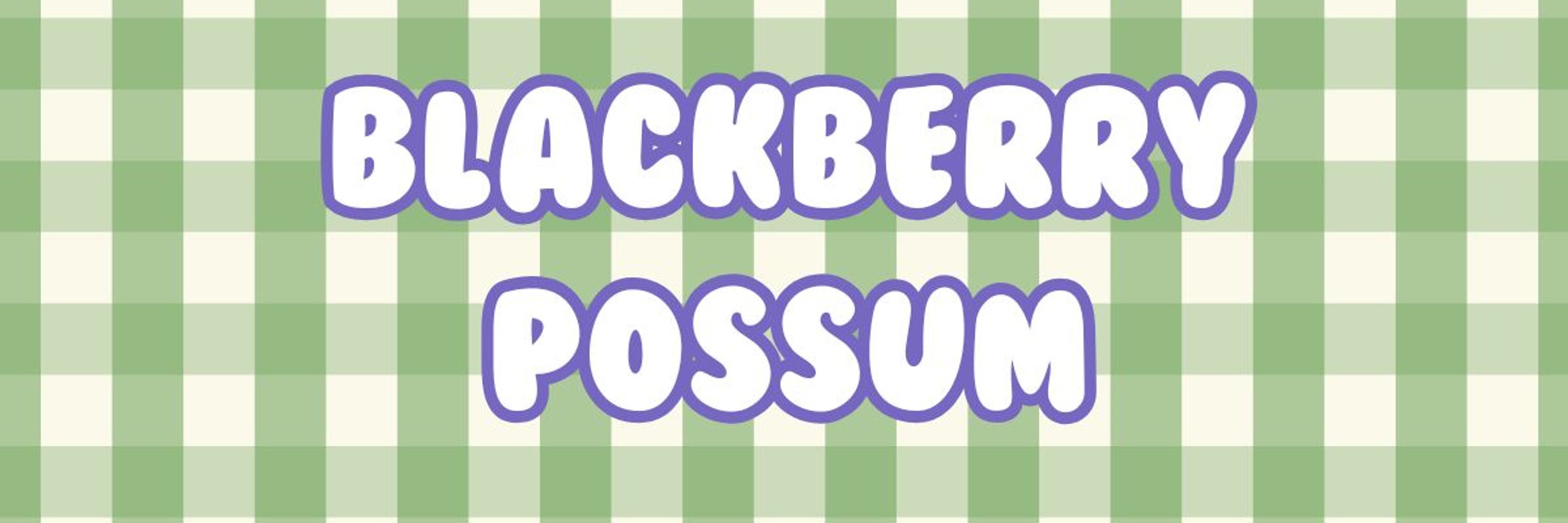 Blackberry Possum 🍄🐾