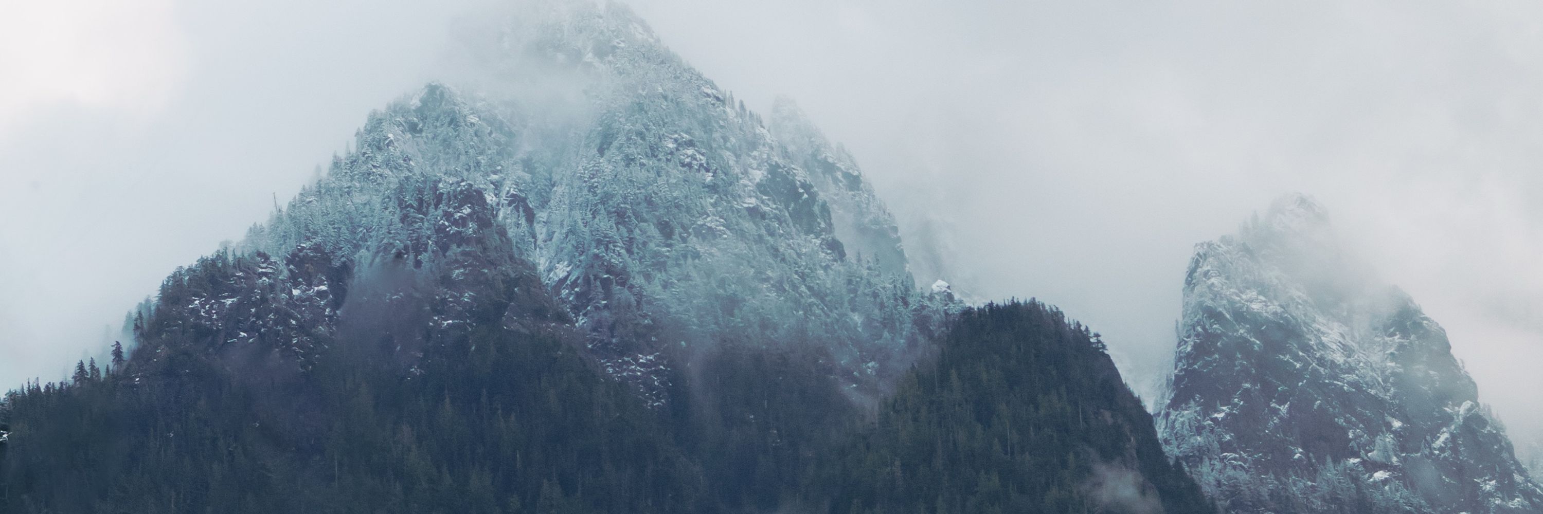 Laura Brooks Photography