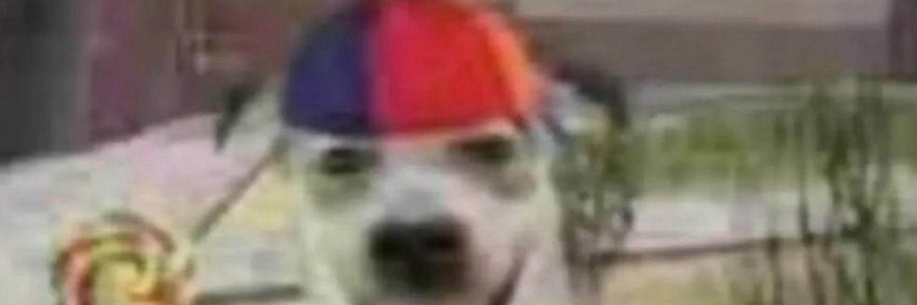 zom