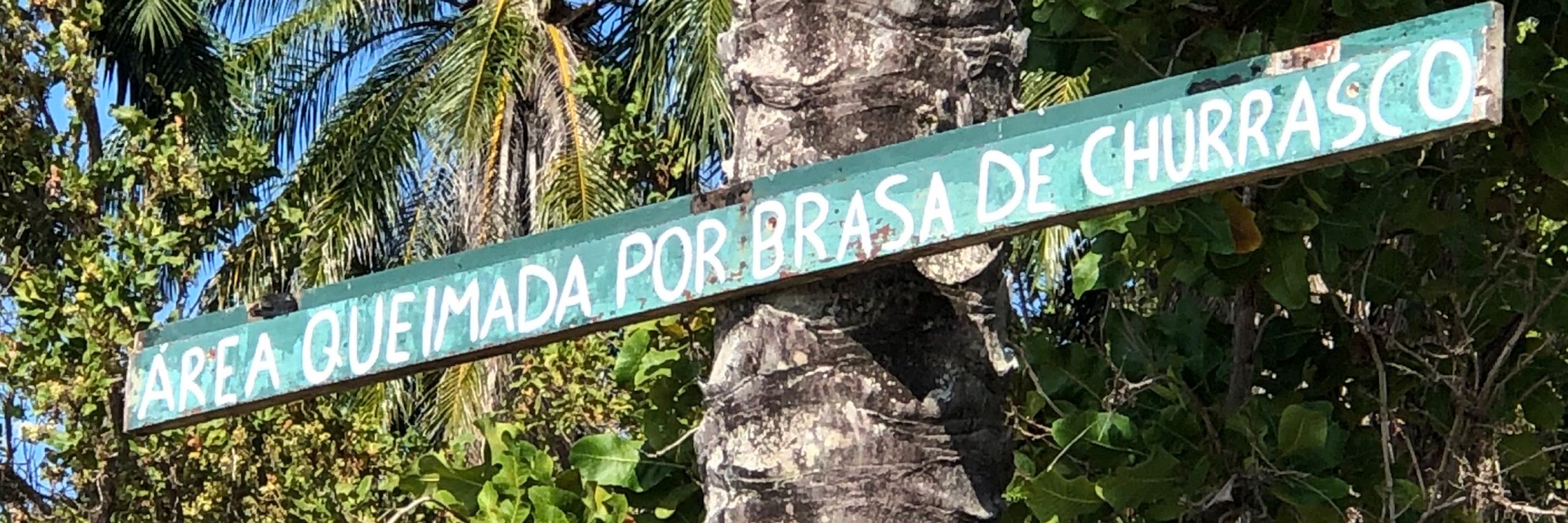 Sommelier de caipirinha 
