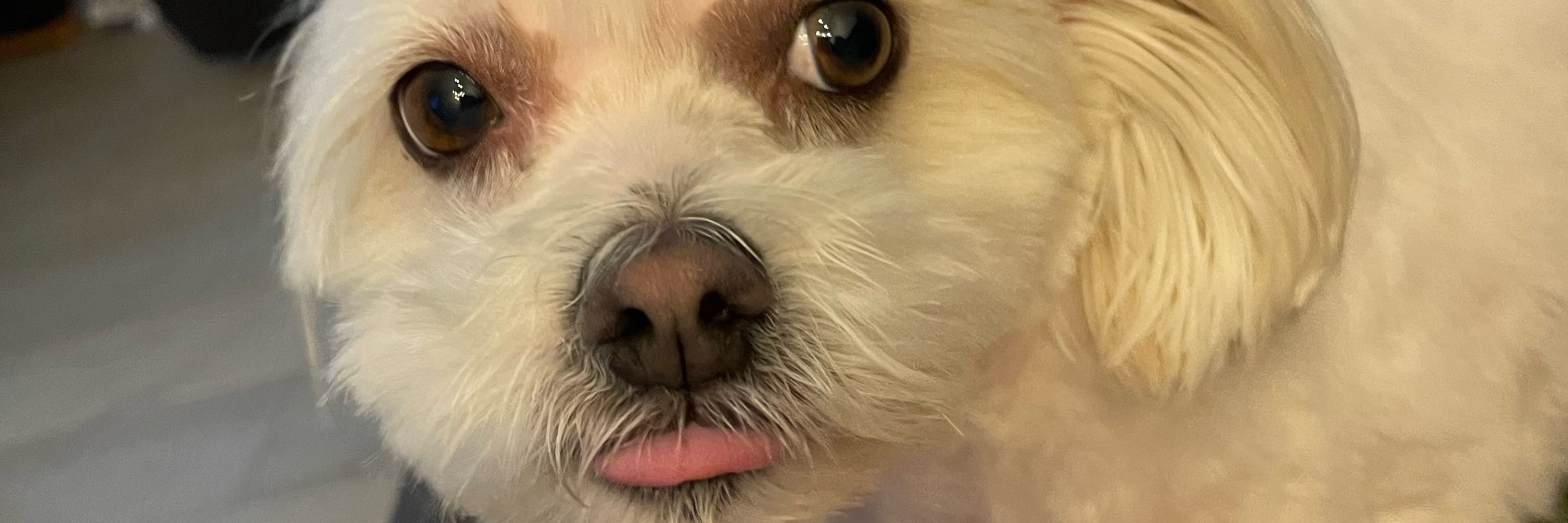 Pete