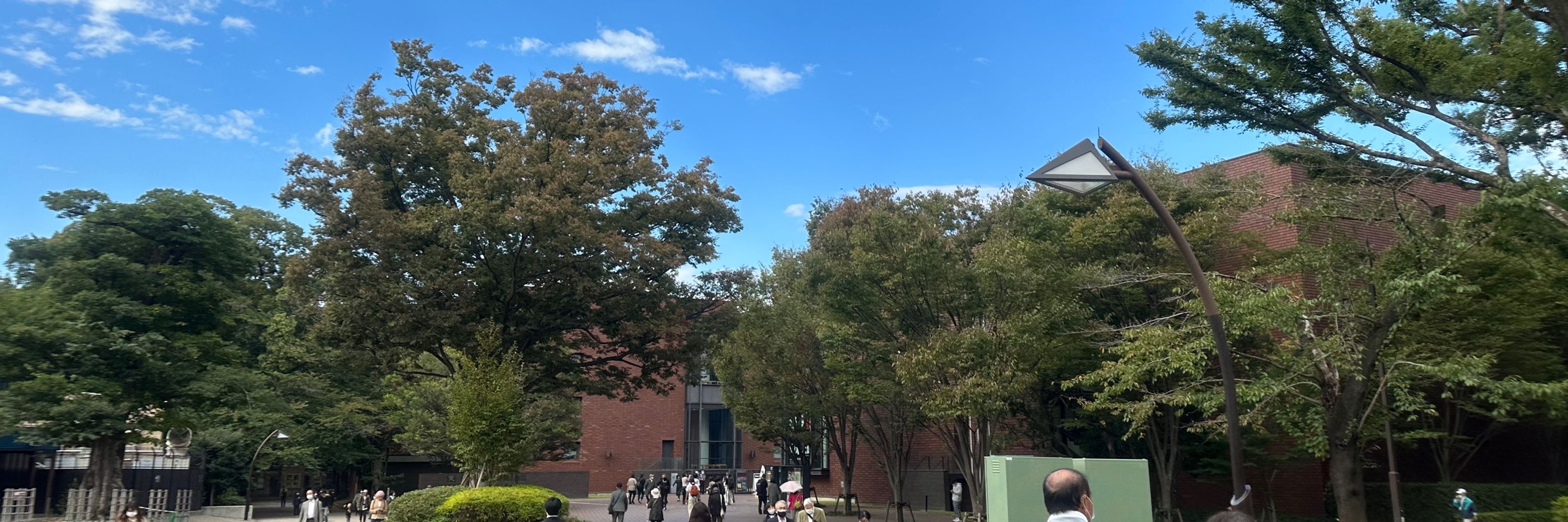ちゃいむ