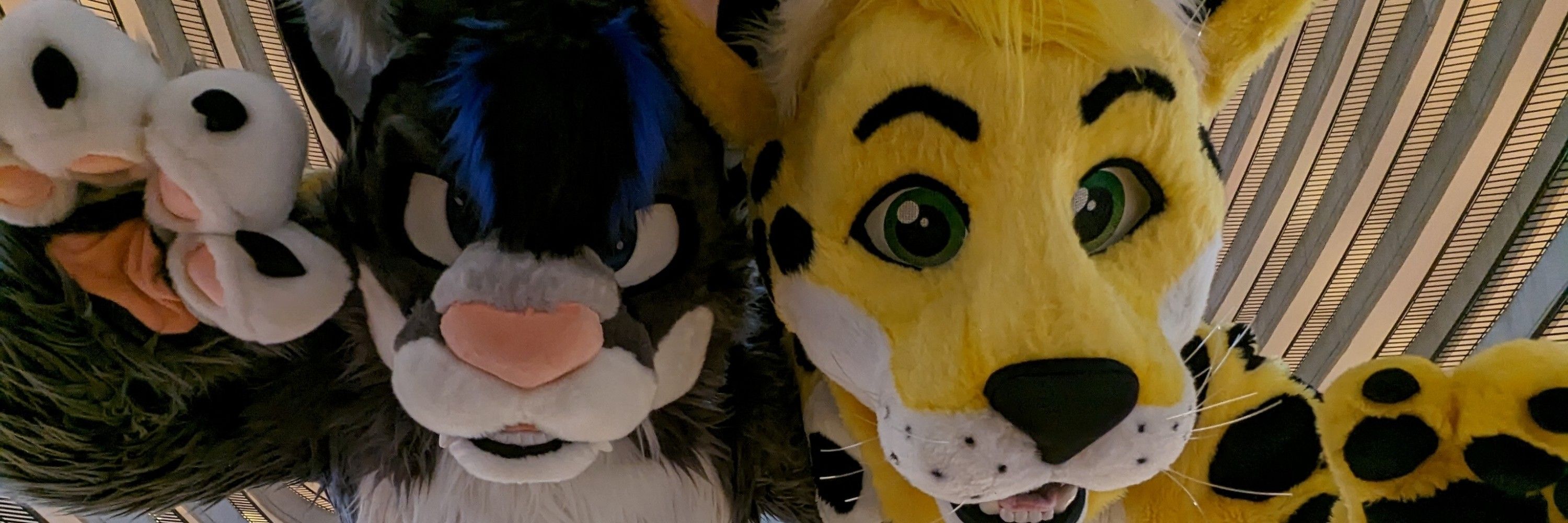Akio Snep