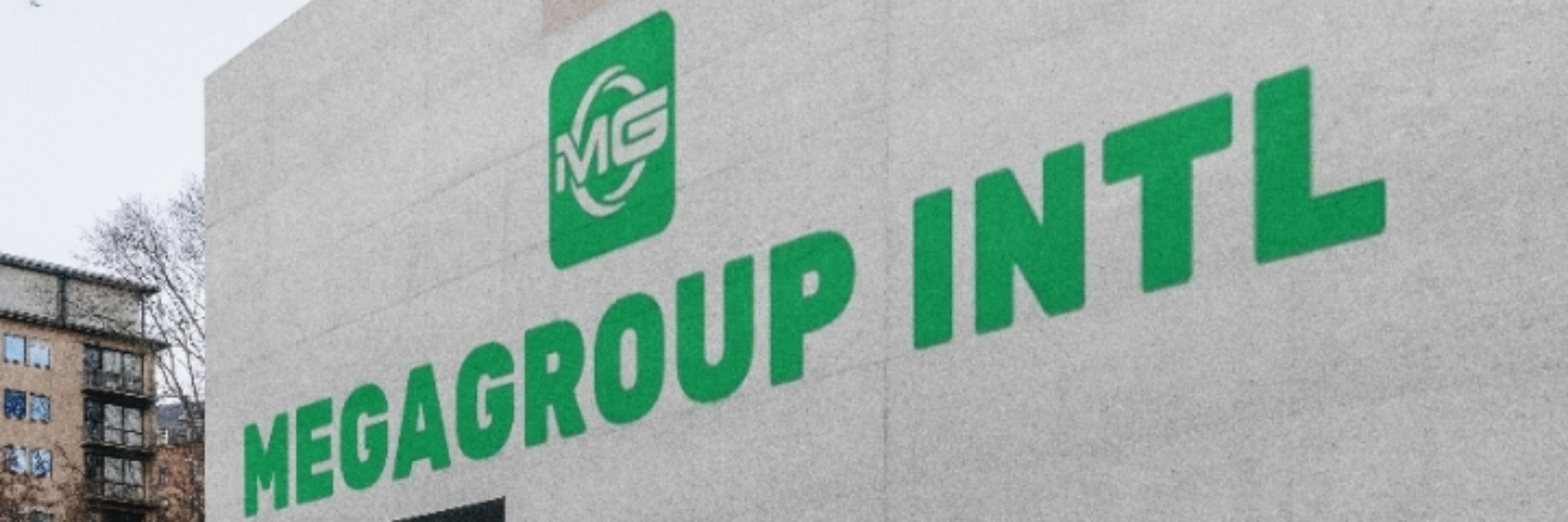 MegaGroup Intl