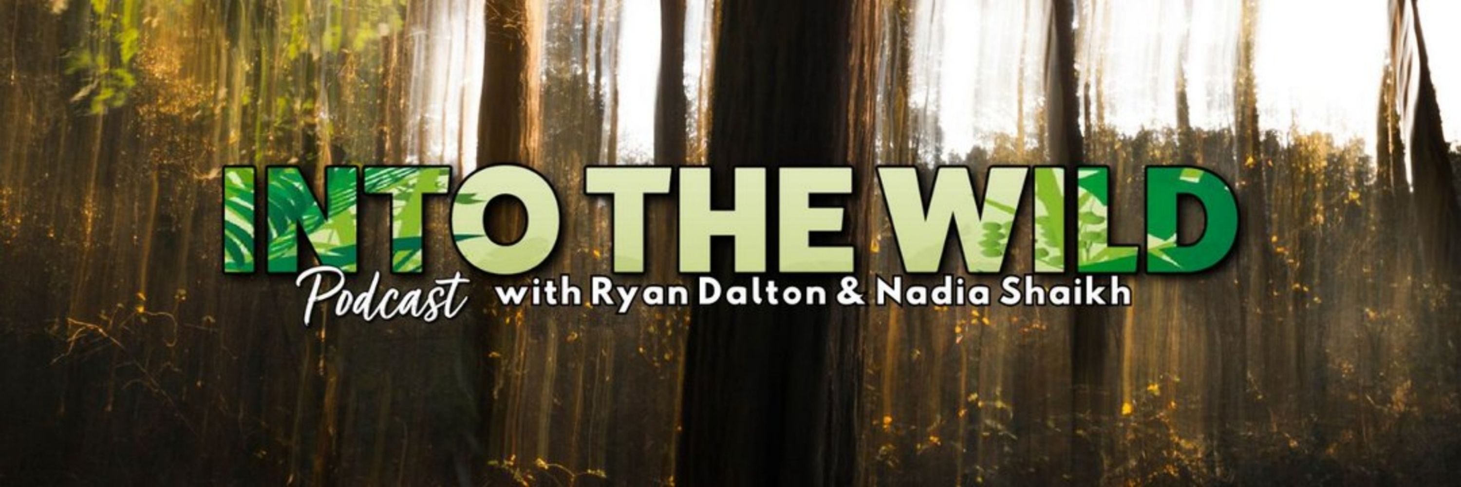 Into The Wild Podcast