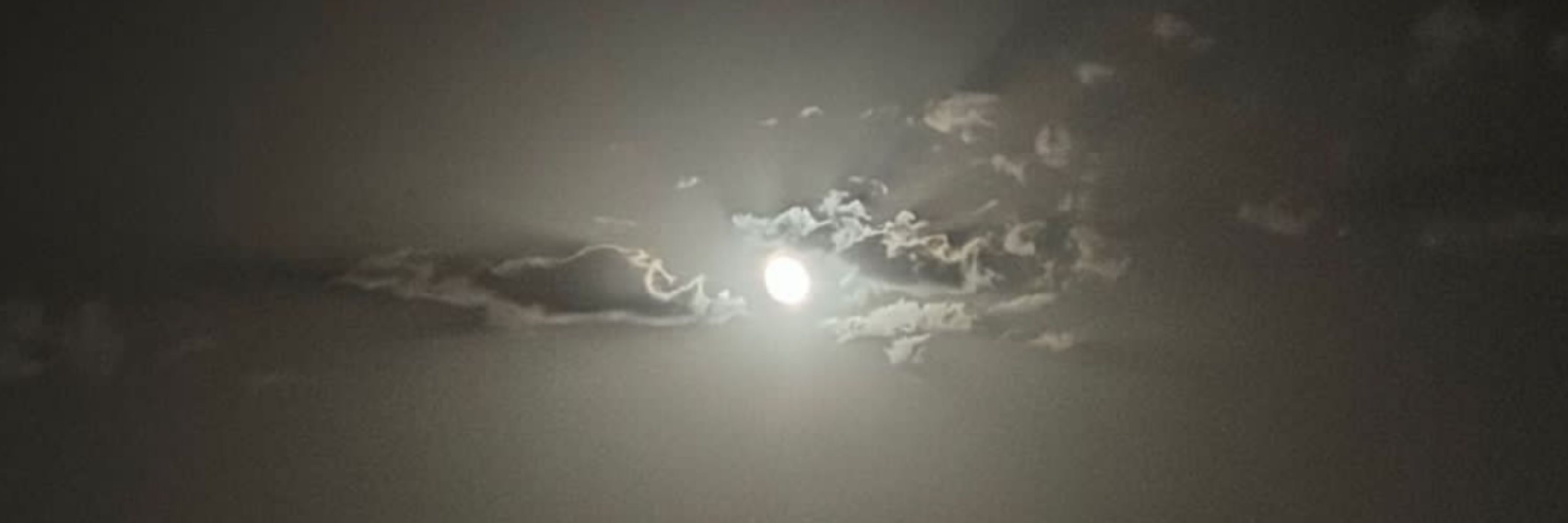 بلادونا