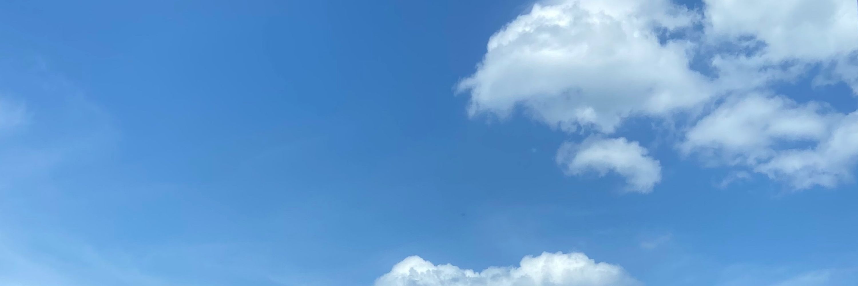 かじろ