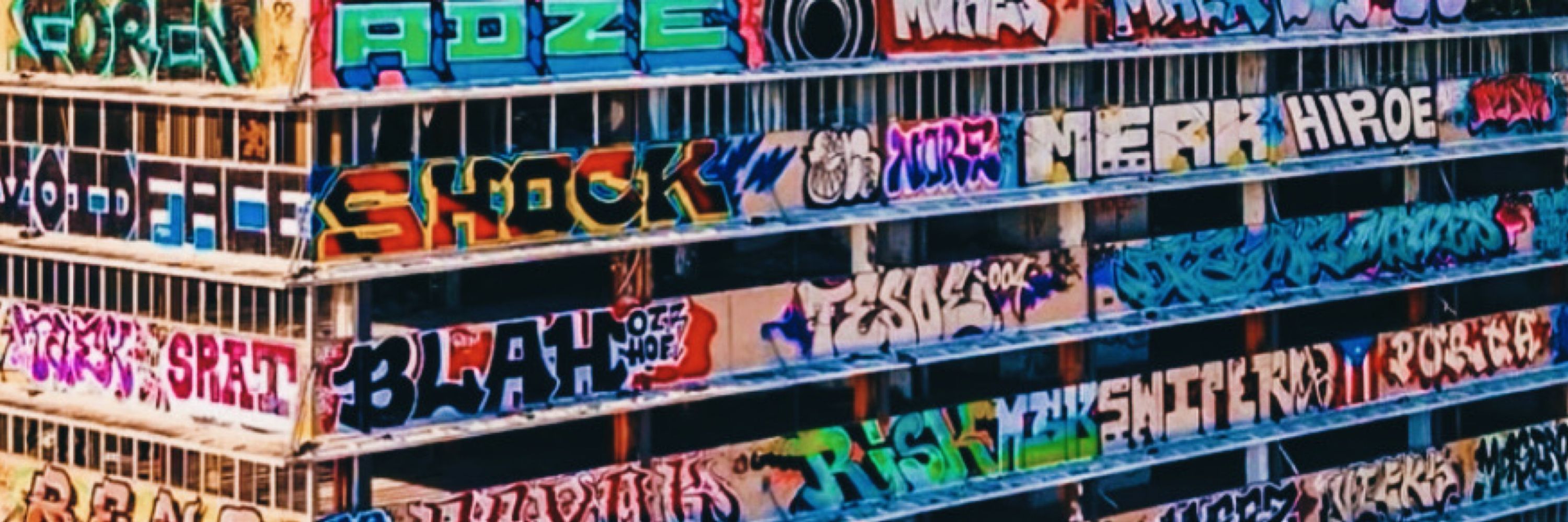 Dr. Z. Z. Lemonquack 🍌·₊ ˚
