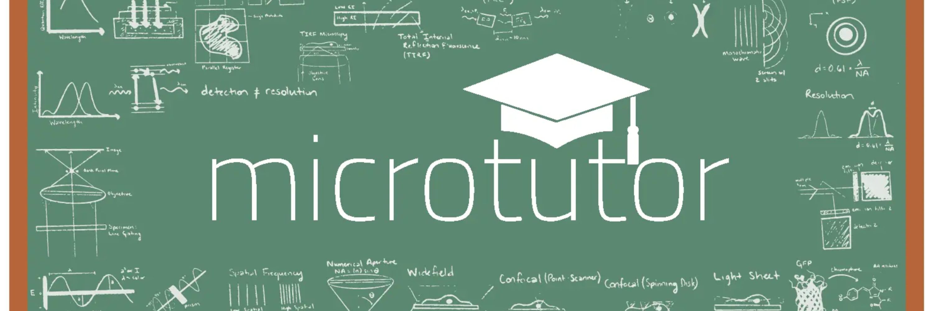 Microtutor
